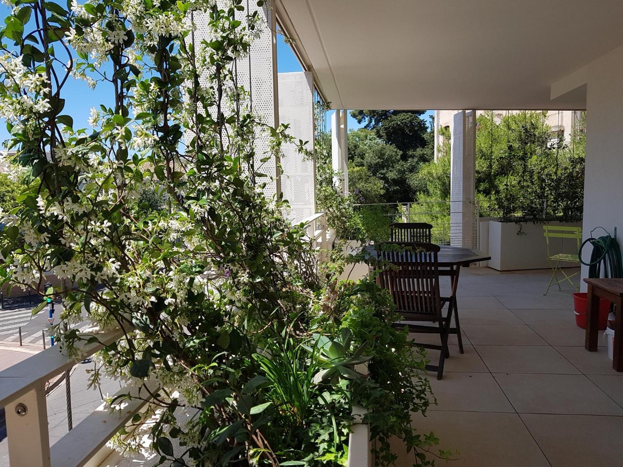 Appartement Centre Ville Beaux Arts 2 Personnes Calme Et Confort Montpellier Exterior foto